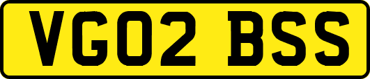 VG02BSS