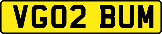 VG02BUM