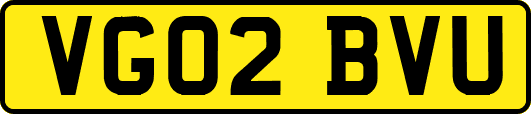 VG02BVU