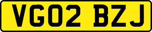 VG02BZJ