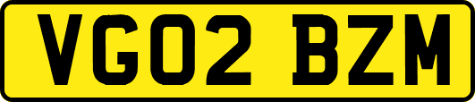 VG02BZM