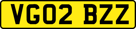 VG02BZZ