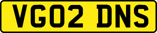 VG02DNS