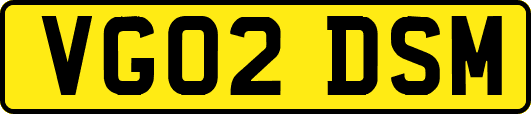 VG02DSM
