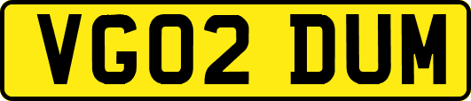 VG02DUM