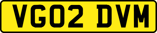 VG02DVM