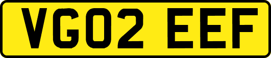 VG02EEF