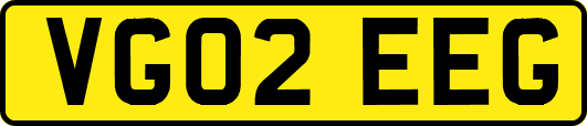 VG02EEG