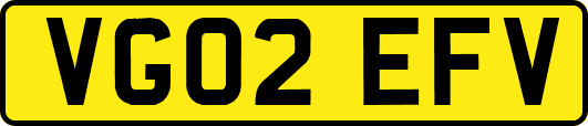 VG02EFV