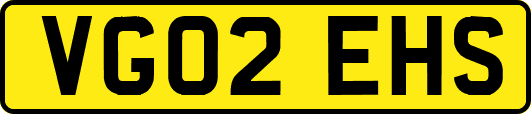 VG02EHS