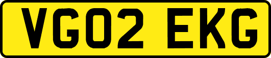 VG02EKG