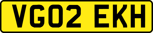 VG02EKH