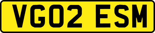 VG02ESM