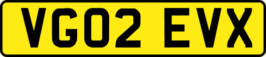 VG02EVX