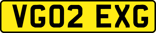 VG02EXG