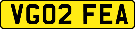 VG02FEA