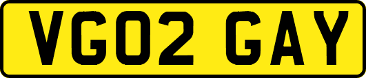 VG02GAY
