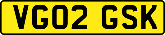 VG02GSK