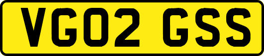VG02GSS