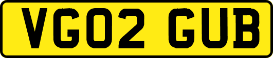 VG02GUB