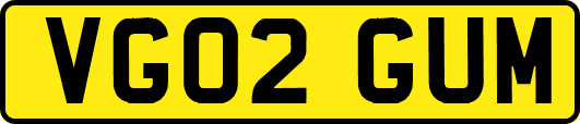 VG02GUM