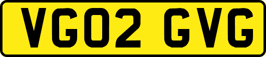 VG02GVG