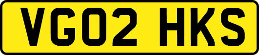 VG02HKS