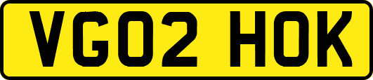 VG02HOK