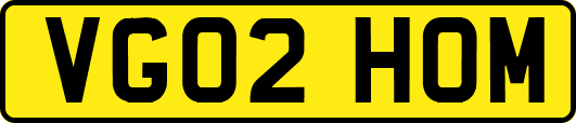 VG02HOM