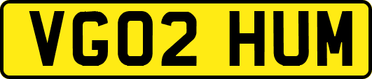 VG02HUM
