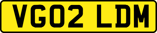 VG02LDM