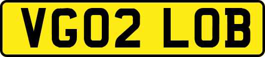 VG02LOB