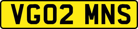 VG02MNS