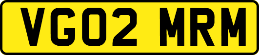 VG02MRM