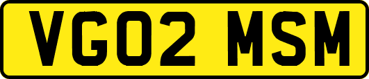 VG02MSM