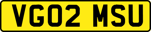 VG02MSU