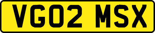 VG02MSX