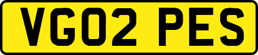 VG02PES