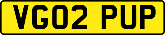 VG02PUP