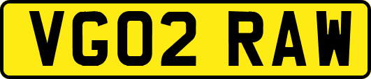 VG02RAW
