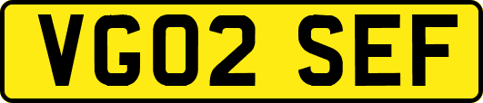 VG02SEF