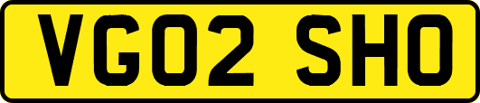 VG02SHO