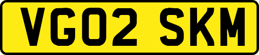 VG02SKM