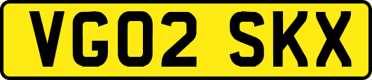 VG02SKX