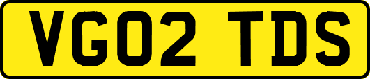 VG02TDS