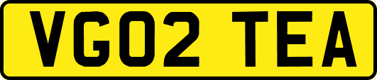VG02TEA