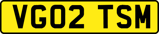 VG02TSM