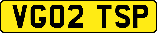 VG02TSP