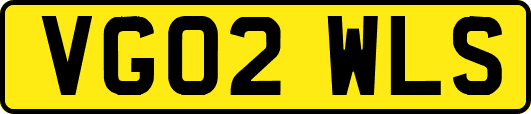 VG02WLS