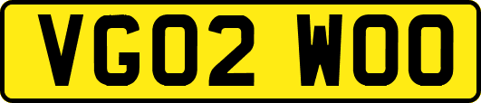 VG02WOO
